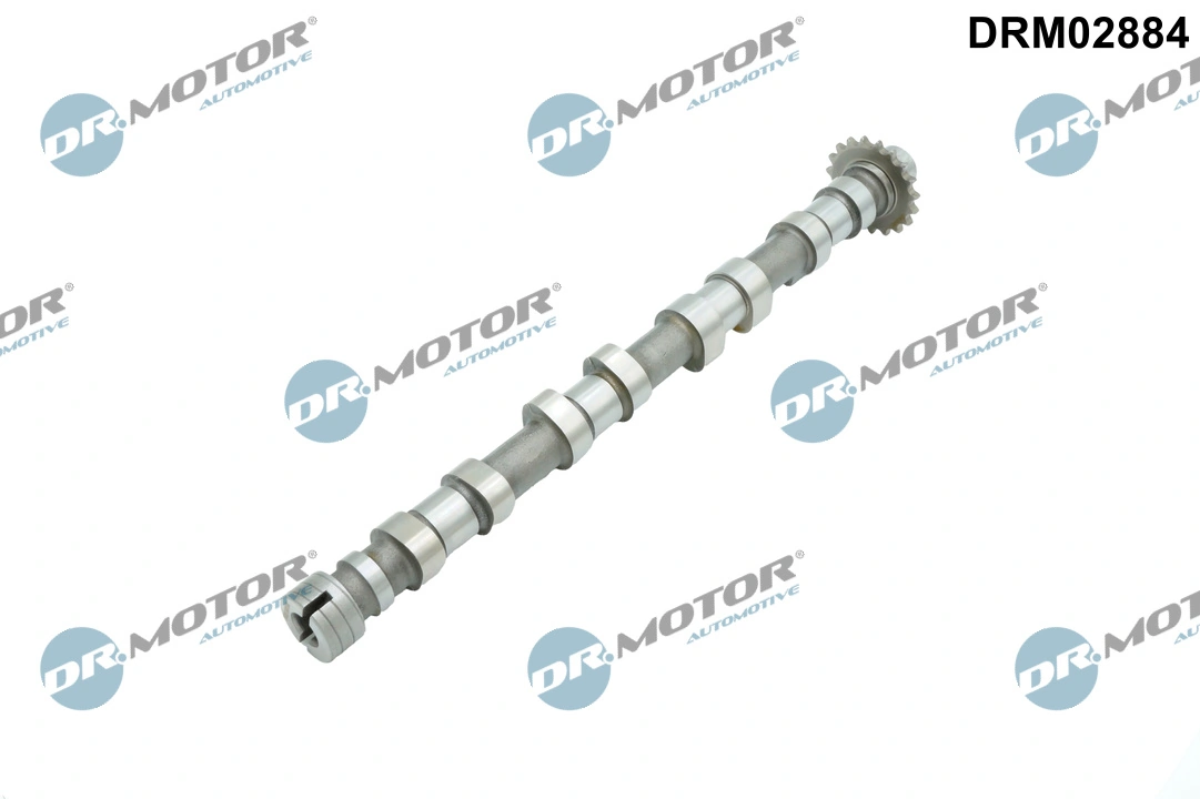 Camshaft